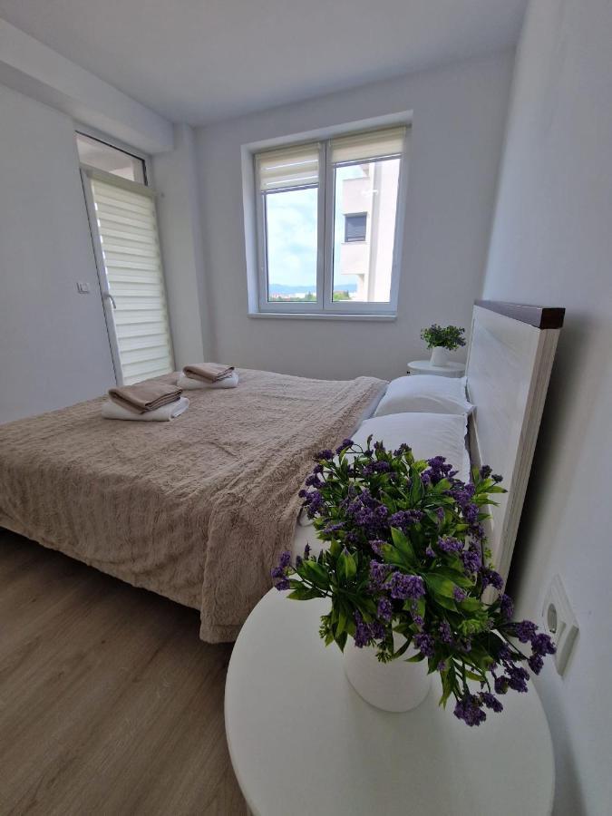 San Casa Apartment Sebeş Εξωτερικό φωτογραφία